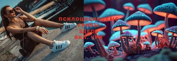 метадон Абаза